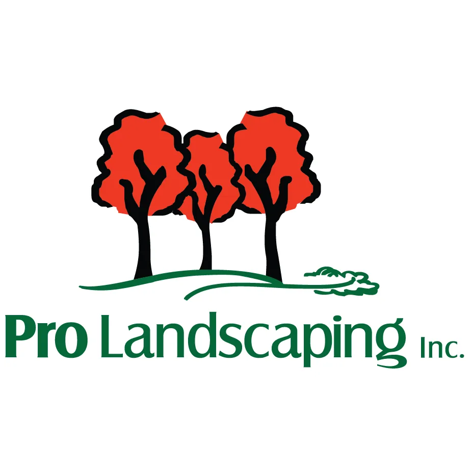Expert outdoor landscaping experts serving Thousand Palms, CA - Pro Landscaping