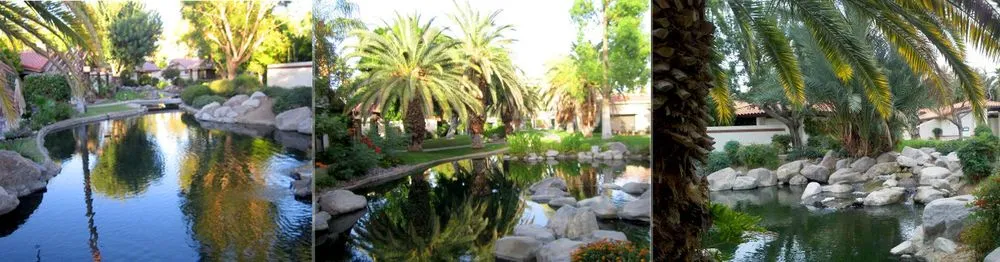 Reliable outdoor landscaping for beautiful yards across Thousand Palms, CA - Pro Landscaping