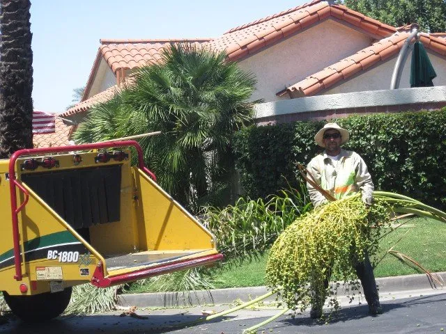 Local residential landscaping in Thousand Palms, CA by Pro Landscaping