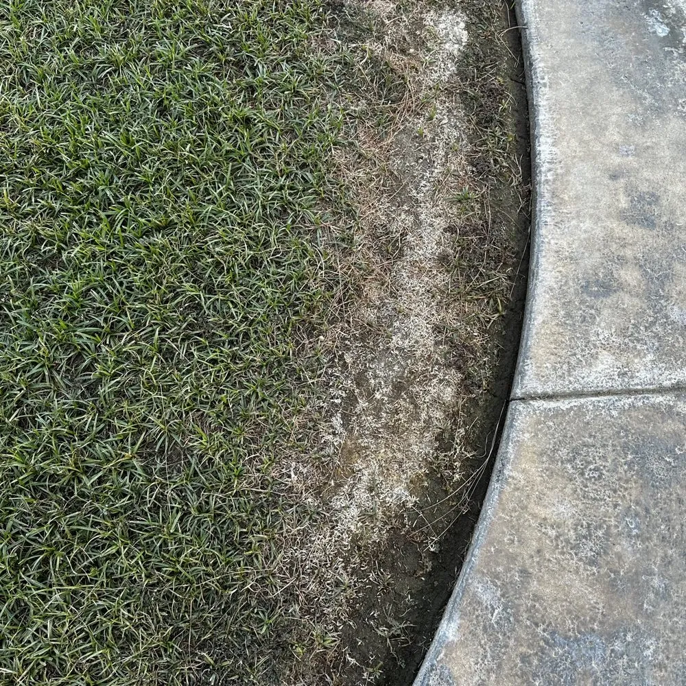 Top-rated lawn care service in Thousand Palms, CA by Pro Landscaping