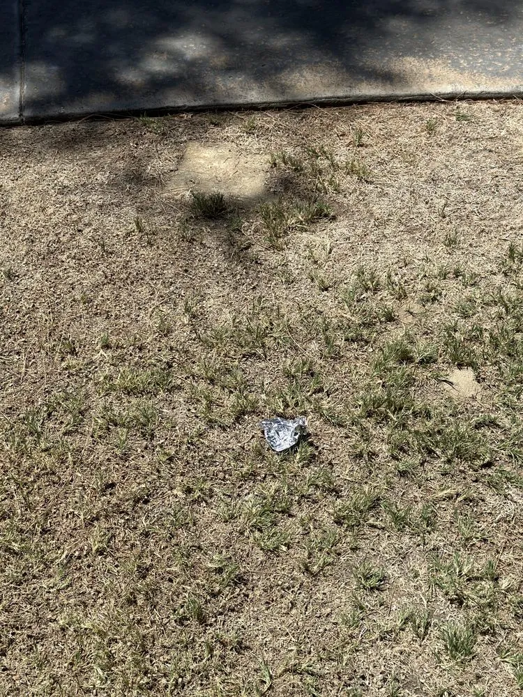 Expert lawn mowing service in Thousand Palms, CA by Pro Landscaping