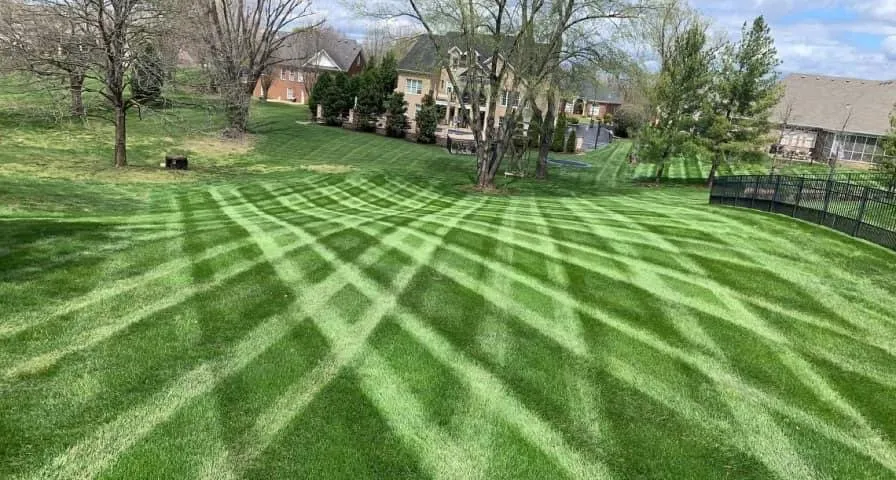 Custom lawn care service in Bowling Green, KY by PRO Lawn & Landscape