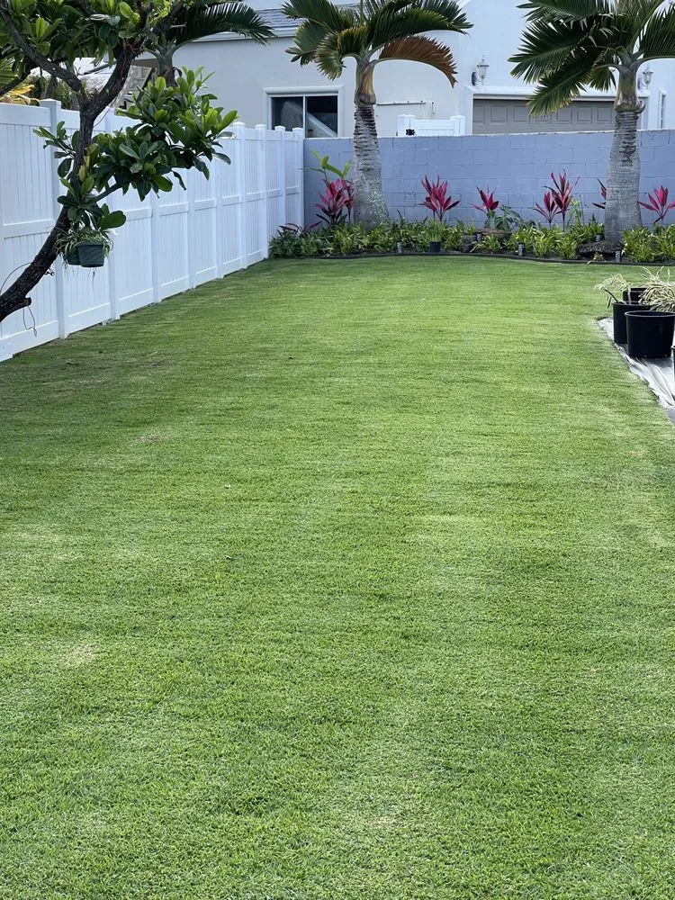 Custom yard maintenance for year-round maintenance in Kailua, HI by Pro Lawn & Landscape