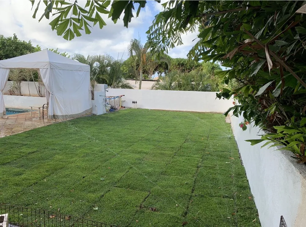 Professional yard cleanup service in Kailua, HI by Pro Lawn & Landscape