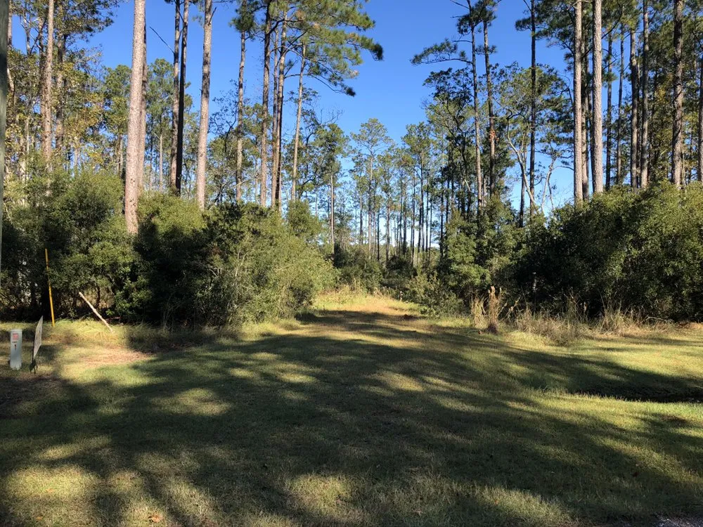 Local yard cleanup service for homes across New Bern, NC - Pro-Lawn & Landscaping