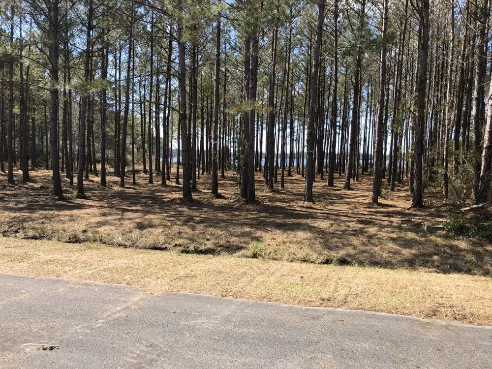 Affordable residential landscaping for homes in New Bern, NC by Pro-Lawn & Landscaping