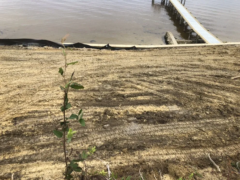 Expert outdoor landscaping for homes in New Bern, NC by Pro-Lawn & Landscaping