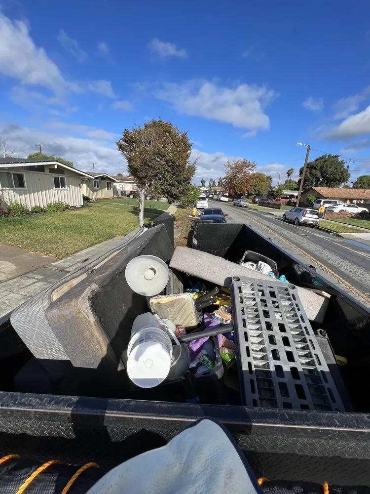 Professional yard maintenance experts serving Salinas, CA - Pro Lawn and Haul