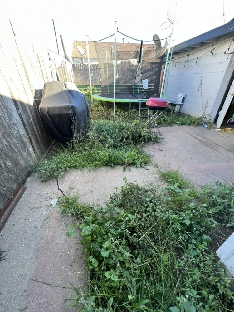 Professional lawn care service in Salinas, CA - Pro Lawn and Haul