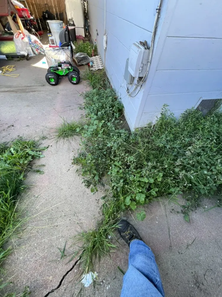 Expert landscape installation for year-round maintenance across Salinas, CA - Pro Lawn and Haul