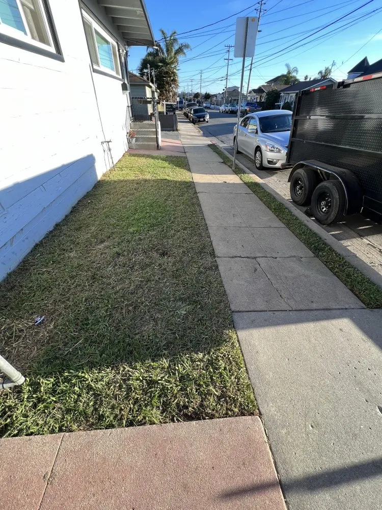 Affordable outdoor landscaping near you in Salinas, CA by Pro Lawn and Haul