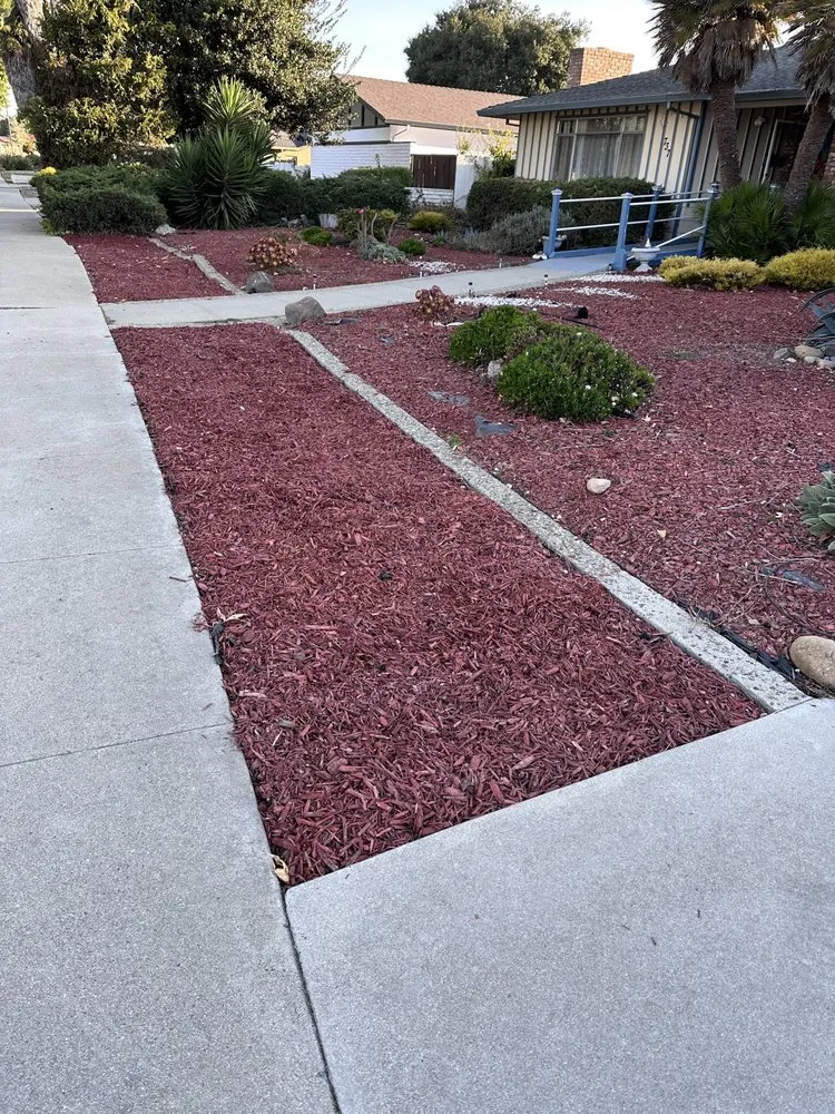 Custom lawn care service in Salinas, CA - Pro Lawn and Haul