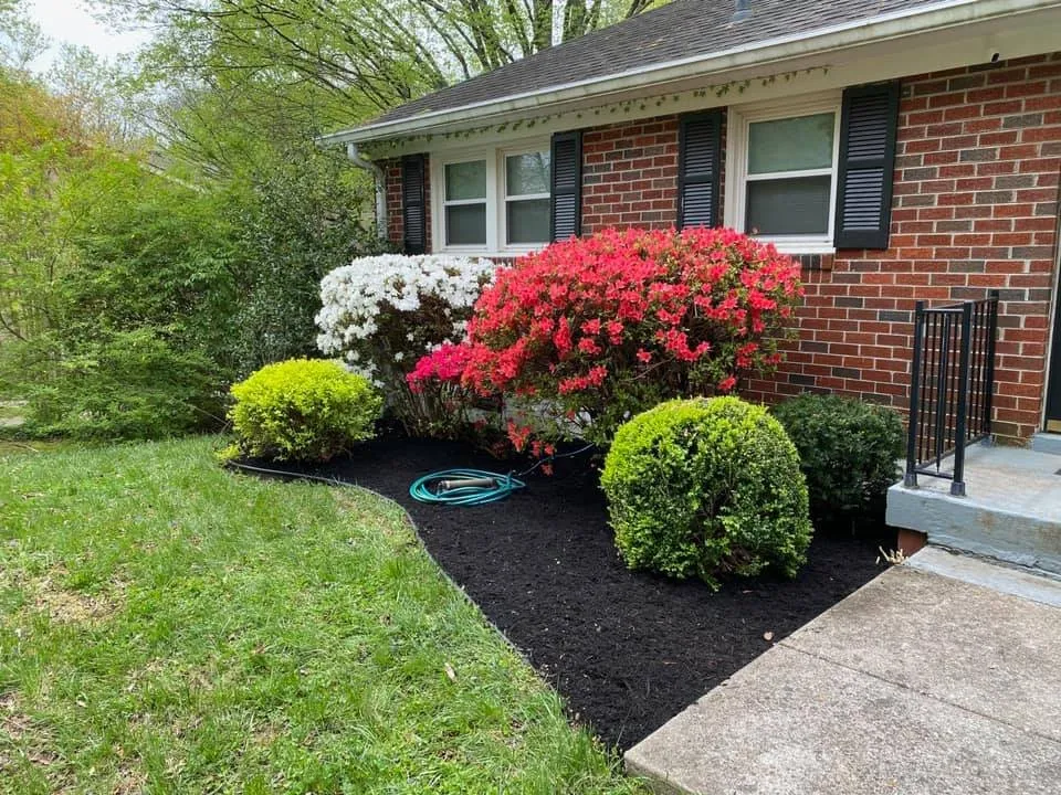 Top-rated landscape installation for homes in White Bluff, TN by Pro Lawn and Landscape