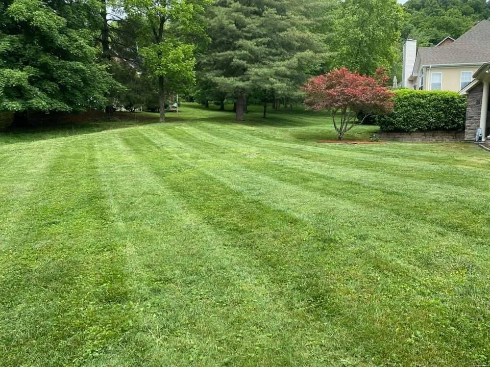 Local landscape design for residential properties in White Bluff, TN by Pro Lawn and Landscape