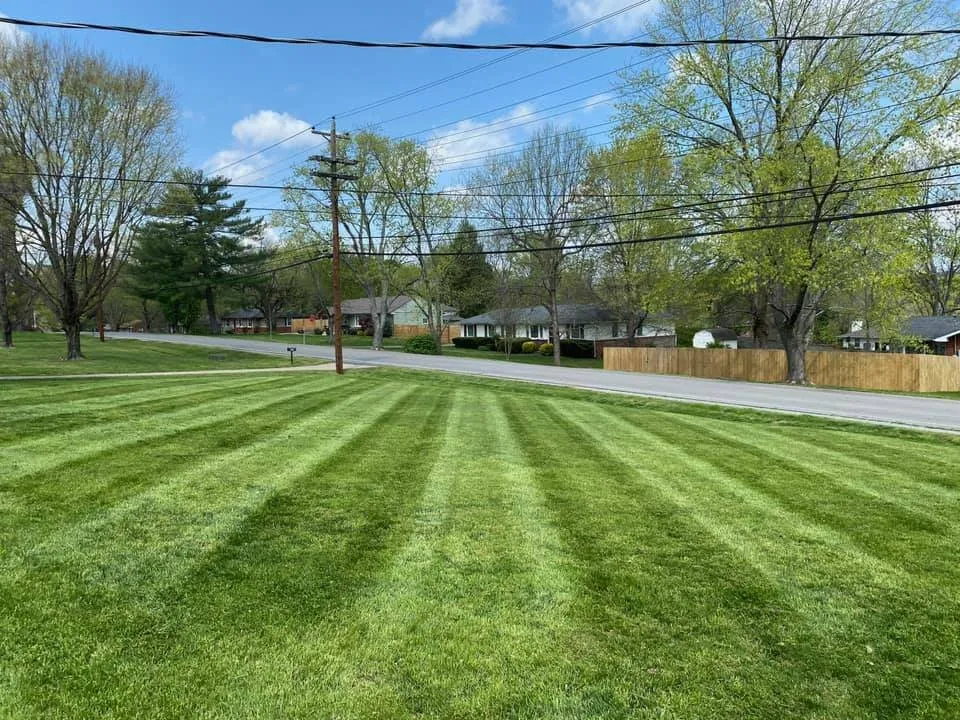 Affordable lawn mowing service for residential properties across White Bluff, TN - Pro Lawn and Landscape