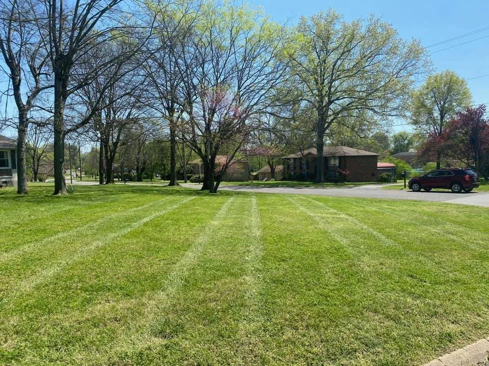 Custom lawn mowing service in White Bluff, TN - Pro Lawn and Landscape