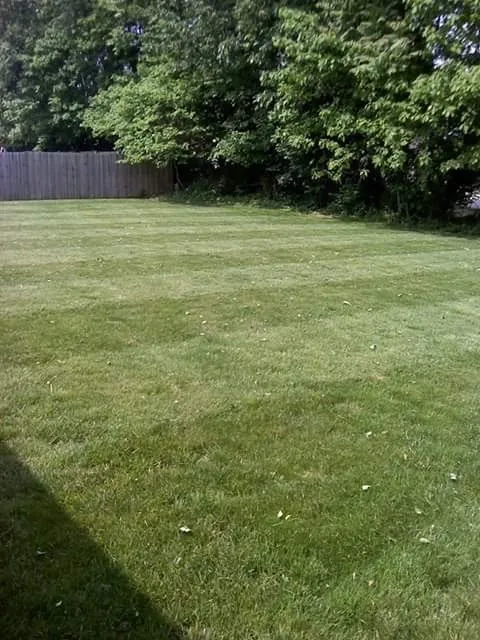 Professional landscape design for beautiful yards in Flintstone, GA by Pro Lawn and Landscapes