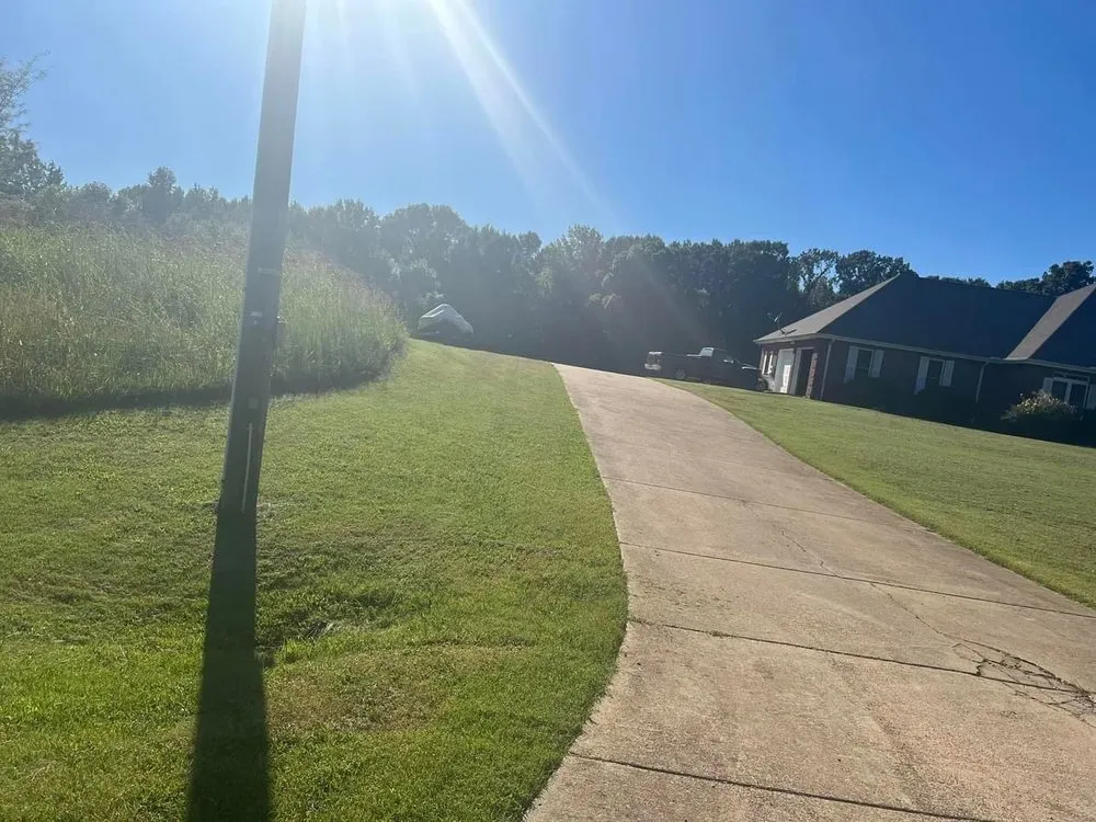 Trusted lawn care service for year-round maintenance across Sardis, MS - Pro Lawn and Services