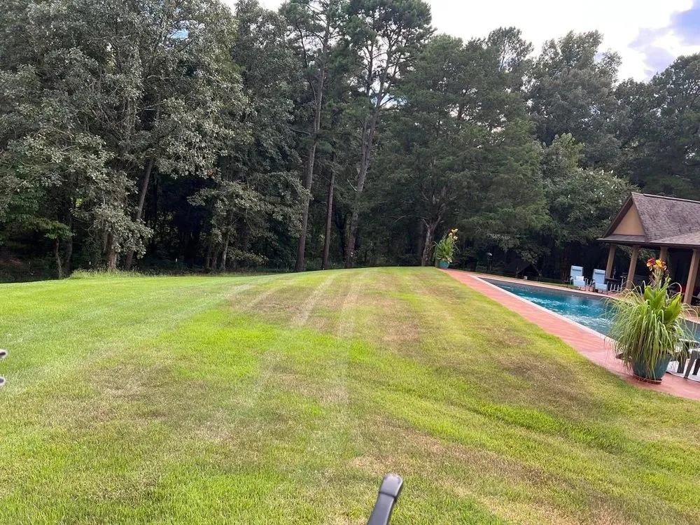 Local yard maintenance experts serving Sardis, MS - Pro Lawn and Services