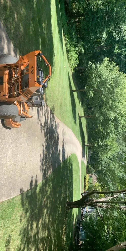 Affordable lawn care service for year-round maintenance in St. Petersburg, FL by Pro Lawn Care & Maintenance