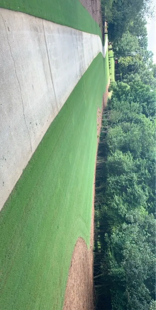 Top-rated yard cleanup service in St. Petersburg, FL by Pro Lawn Care & Maintenance