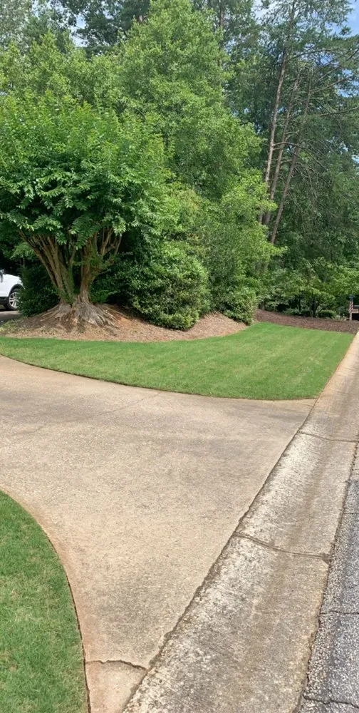 Reliable landscaping services in St. Petersburg, FL by Pro Lawn Care & Maintenance