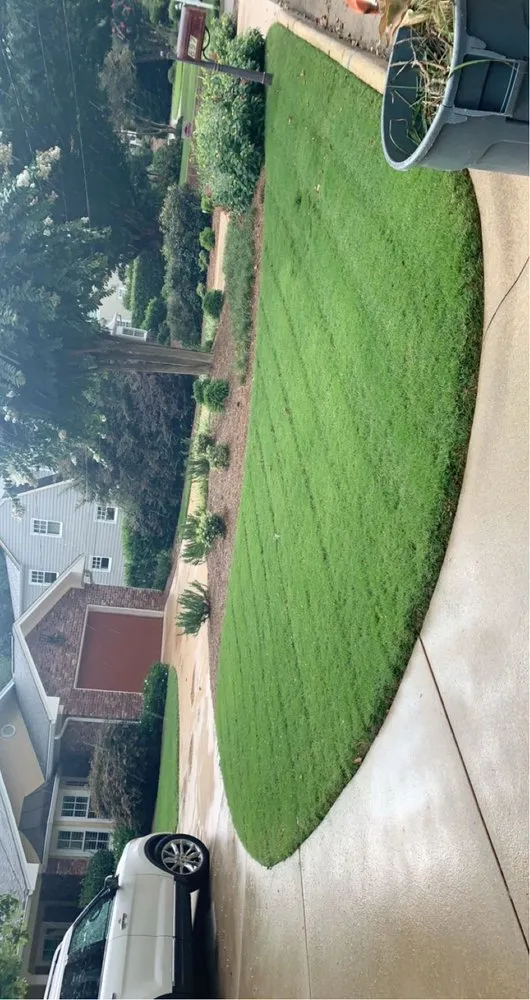 Custom residential landscaping for beautiful yards across St. Petersburg, FL - Pro Lawn Care & Maintenance