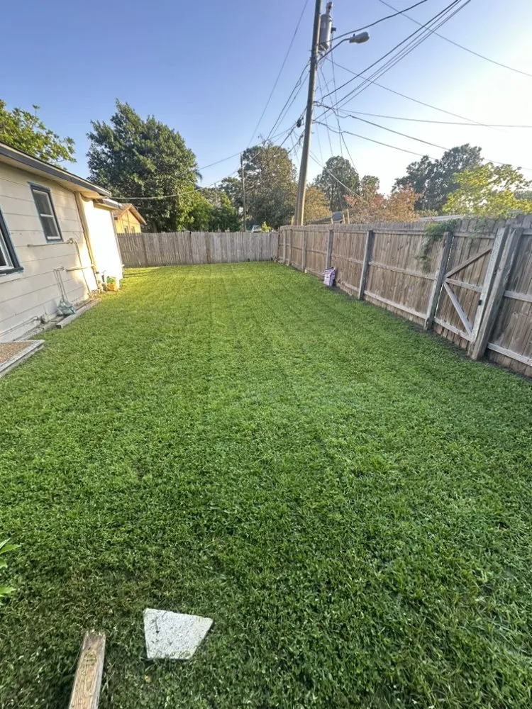 Local landscape installation near you across St. Petersburg, FL - Pro Lawn Care & Maintenance