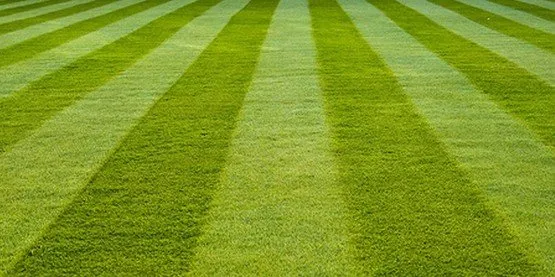 Reliable landscaping services in Babylon, NY by Pro Lawn Care