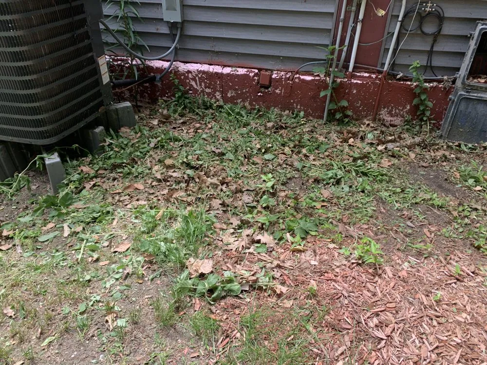 Trusted outdoor landscaping in Benzonia, MI by Pro Lawn Care