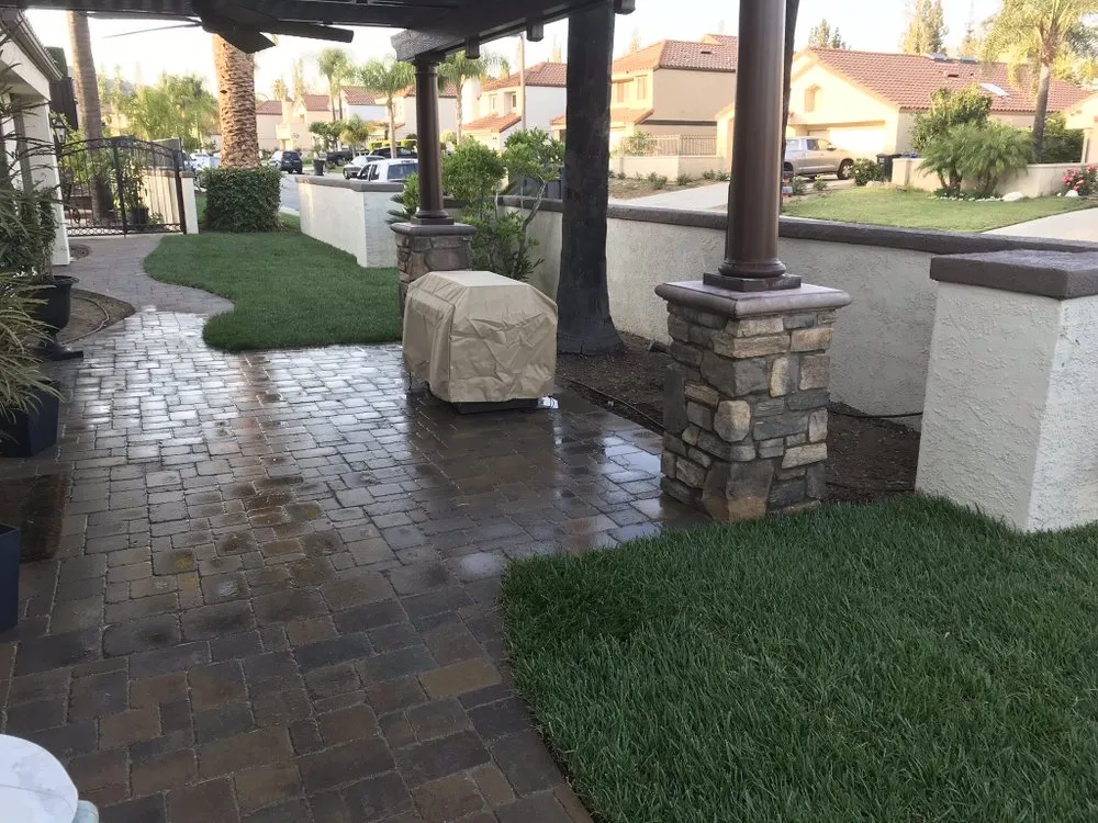 Expert yard cleanup service in Chino, CA - Pro Lawn Care