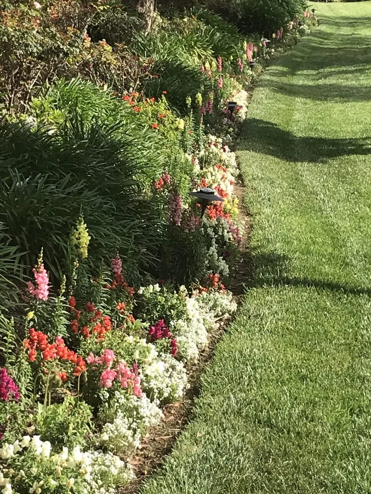 Custom landscape design in Chino, CA - Pro Lawn Care