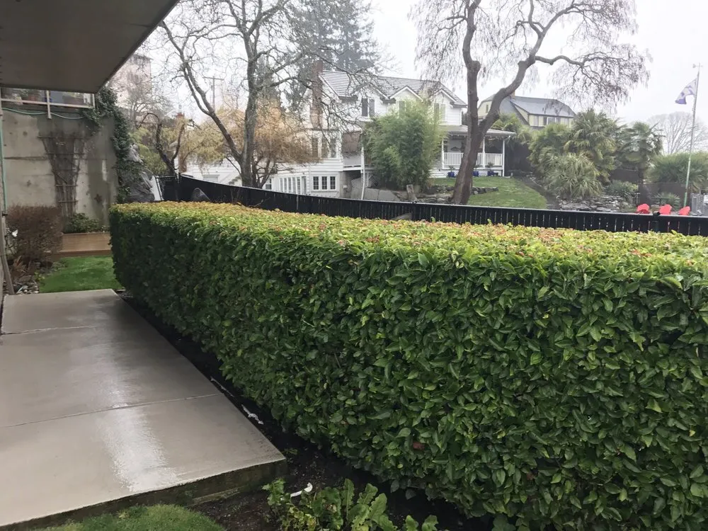 Top-rated landscape design in Silverdale, WA - Pro-Lawn Care Etc