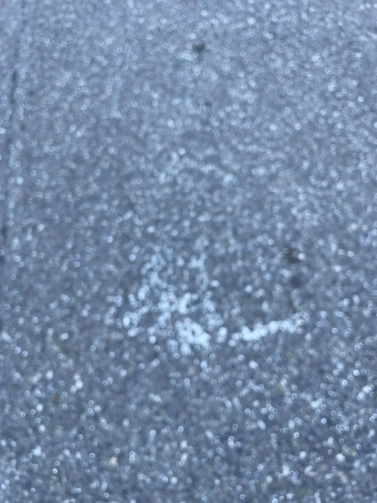 Reliable yard cleanup service experts serving Silverdale, WA - Pro-Lawn Care Etc