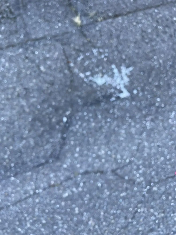 Expert landscape design experts serving Silverdale, WA - Pro-Lawn Care Etc