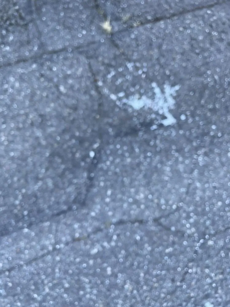 Reliable lawn mowing service experts serving Silverdale, WA - Pro-Lawn Care Etc