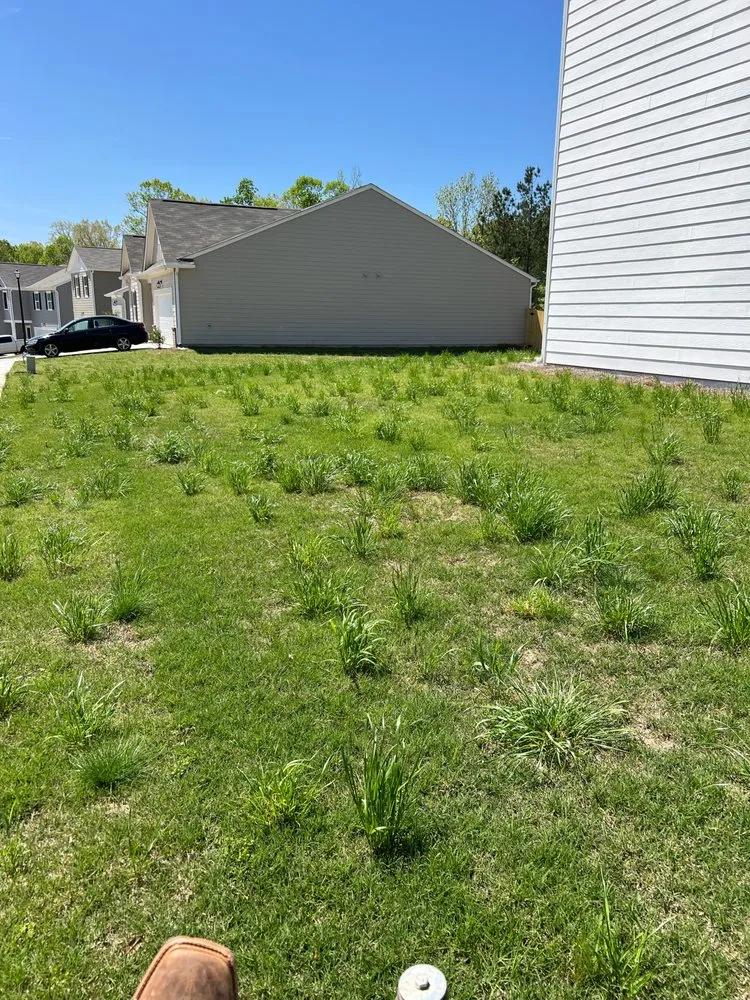 Custom landscape installation in Jenkinsburg, GA - Pro Lawn-Care