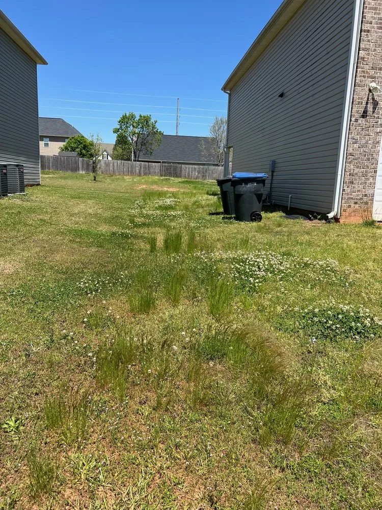 Custom landscaping services for homes in Jenkinsburg, GA by Pro Lawn-Care