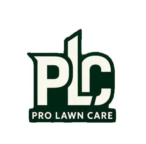 Professional yard cleanup service in Leesville, LA by Pro Lawn Care