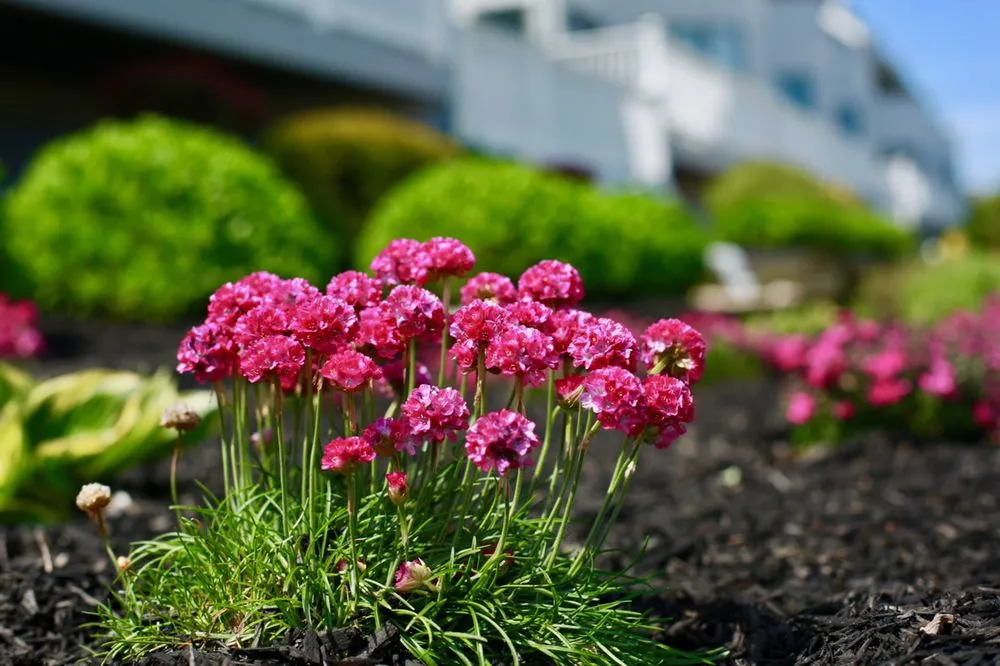 Professional lawn care service for outdoor upgrades across Neptune City, NJ - Pro Lawn Care