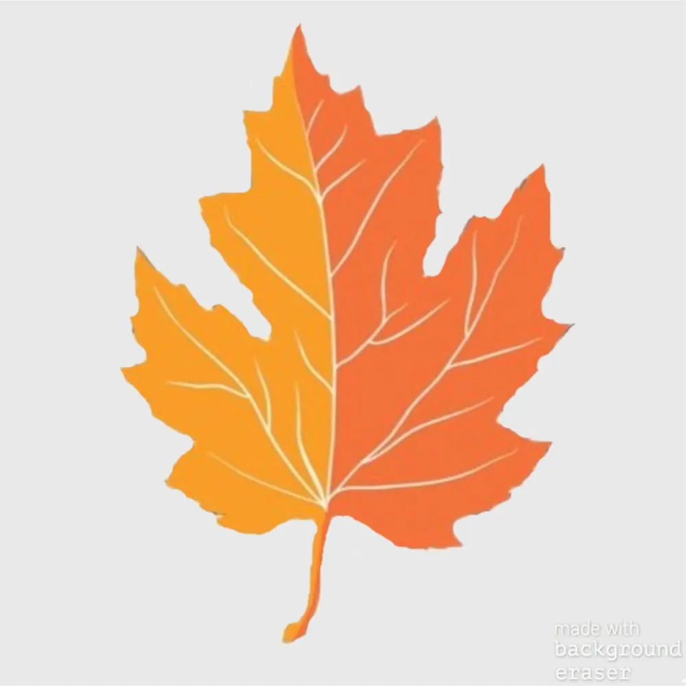 Expert landscaping services for beautiful yards across Neptune City, NJ - Pro Lawn Care