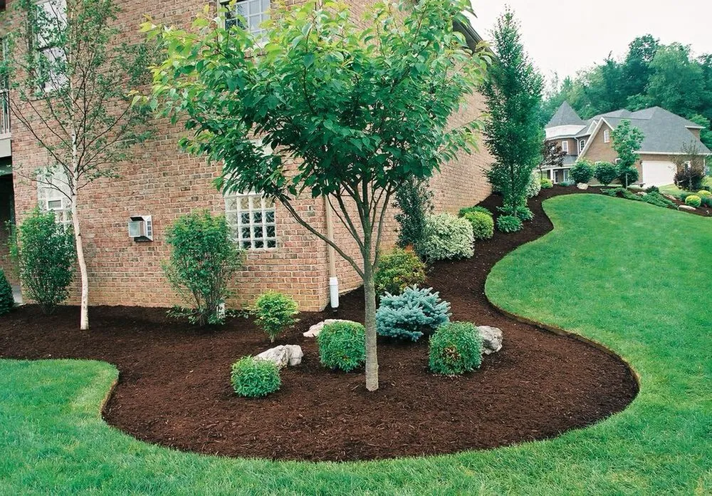 Local yard maintenance in Neptune City, NJ by Pro Lawn Care