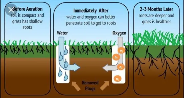 Trusted lawn mowing service experts serving Neptune City, NJ - Pro Lawn Care