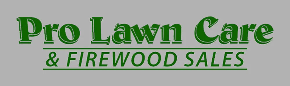 Professional outdoor landscaping experts serving Madisonville, KY - Pro-Lawn Care of Hopkins