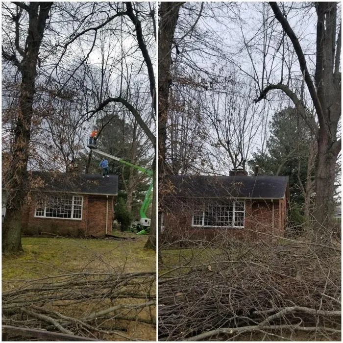 Professional yard cleanup service experts serving Madisonville, KY - Pro-Lawn Care of Hopkins