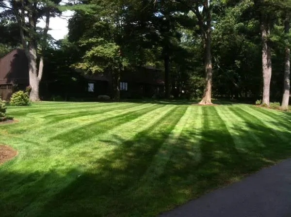 Local landscape design in Pembroke, MA - Pro Lawn Care