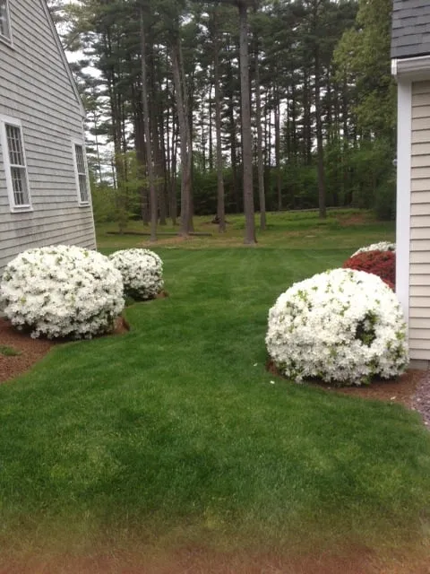 Trusted yard cleanup service for residential properties across Pembroke, MA - Pro Lawn Care