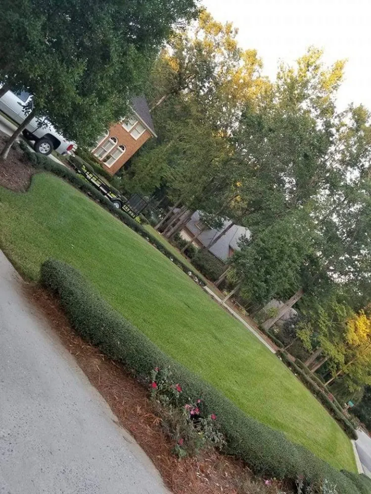 Professional lawn mowing service in Perry, GA - Pro Lawn Care