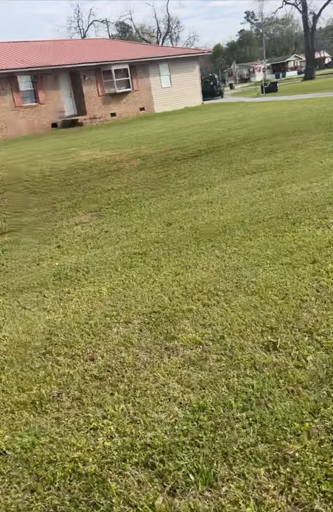 Reliable residential landscaping in Barney, GA by Pro Lawn Cuts