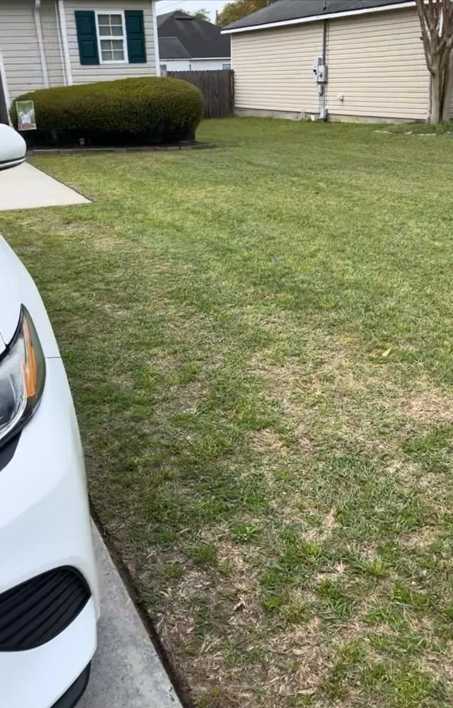 Affordable yard cleanup service in Barney, GA by Pro Lawn Cuts
